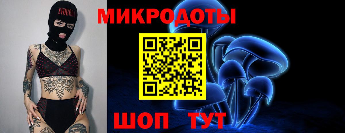 Унеча  Псилоцибиновые грибы Psilocybine cubensis  наркота  Вход с VPN 